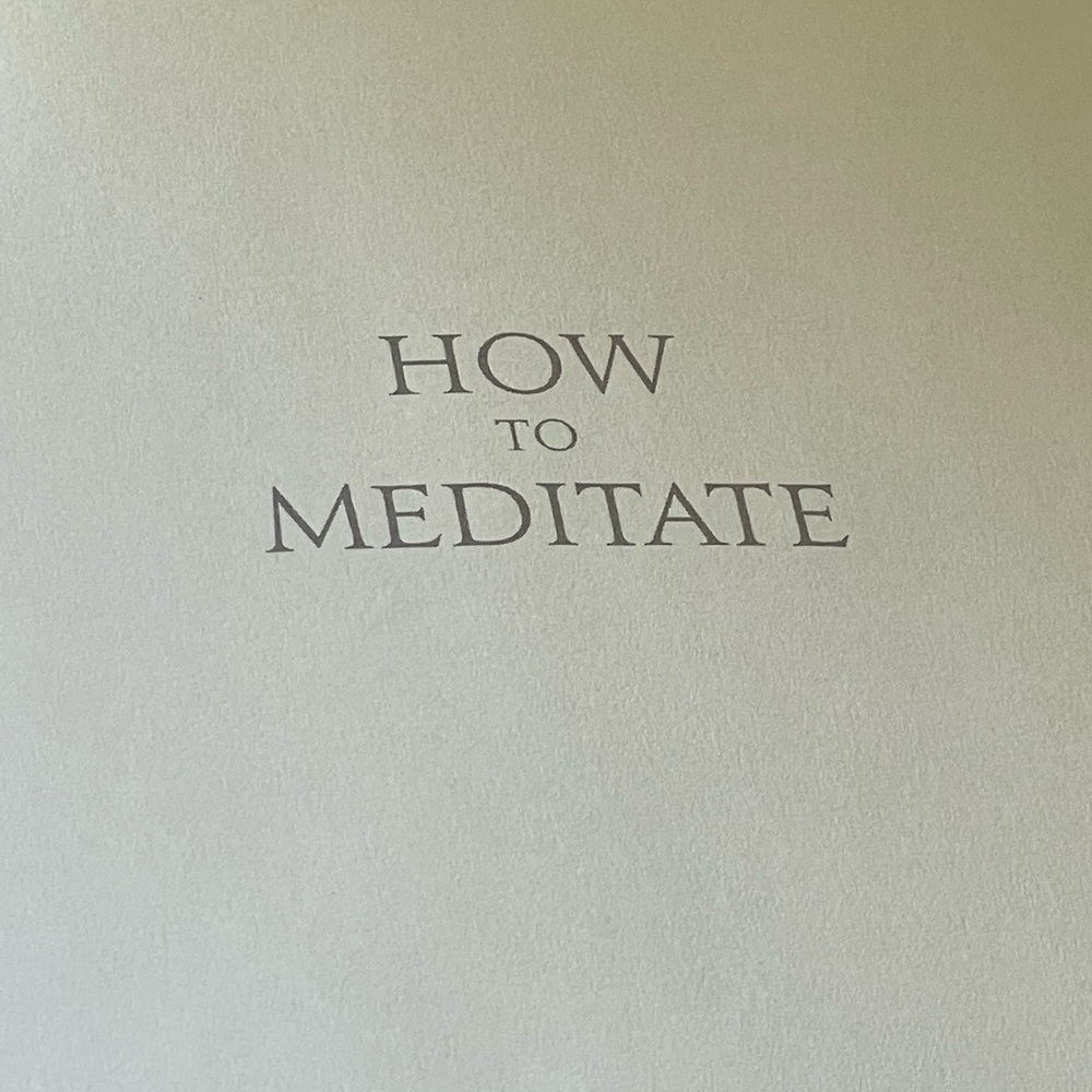 How To Meditate- Pema Chodron